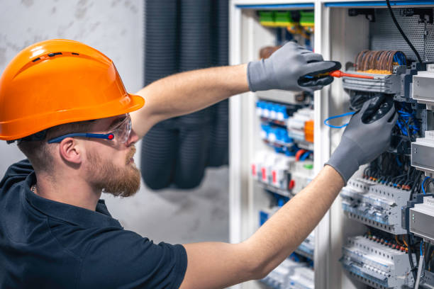 Best Electric Panel Repair  in Lakeport, TX